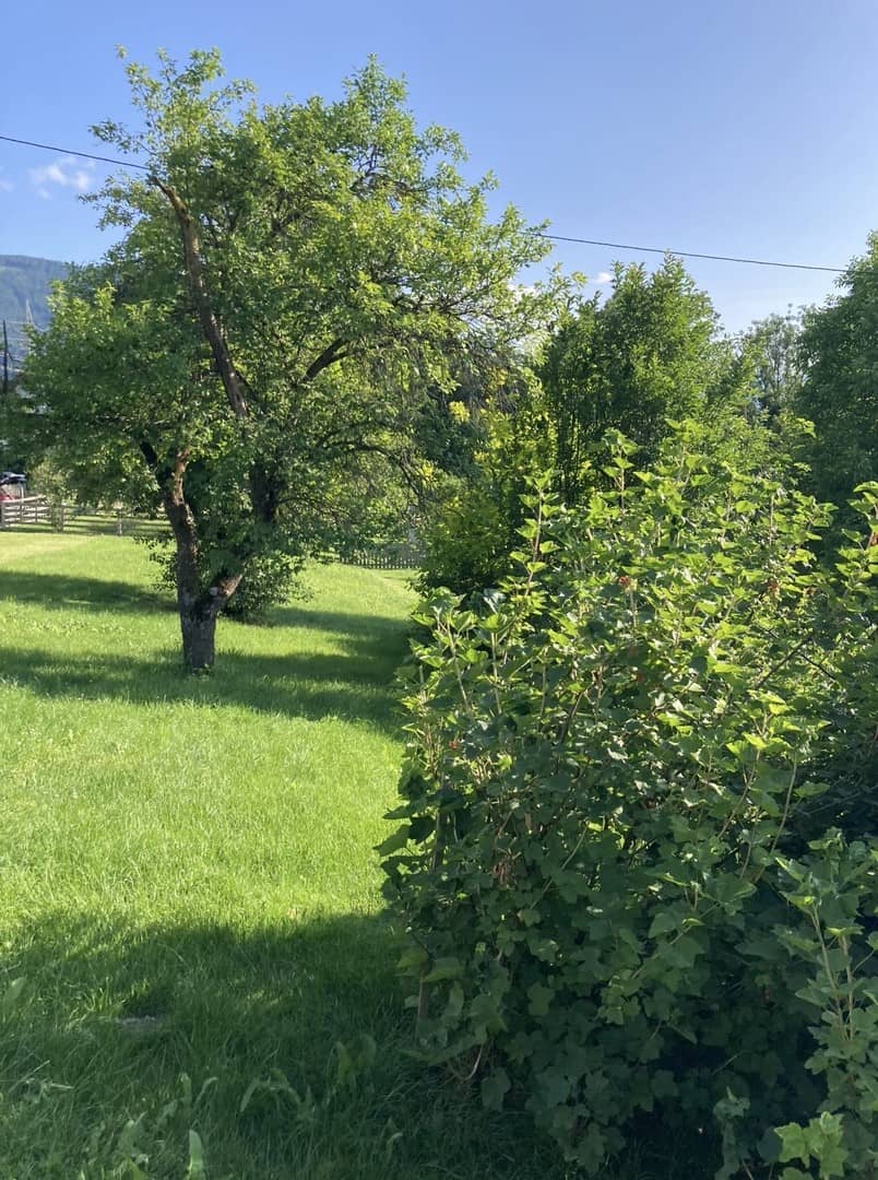 Sonnige Aussichtslage und voll erschlossene Wohnung