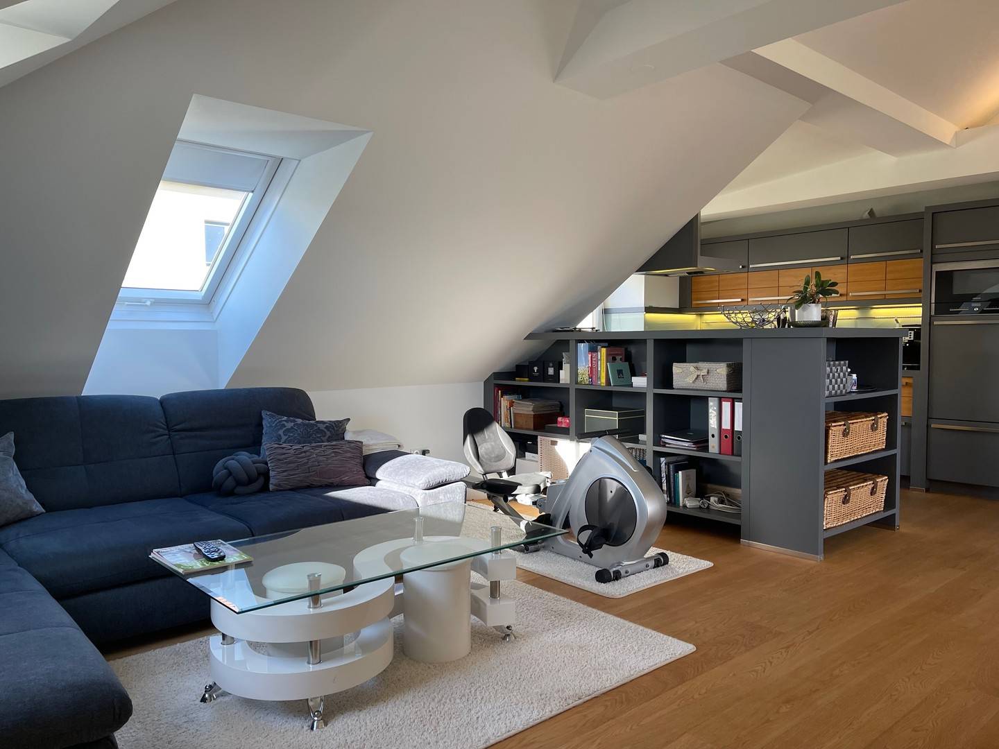 Bright penthouse apartment with roof terrace and garden view