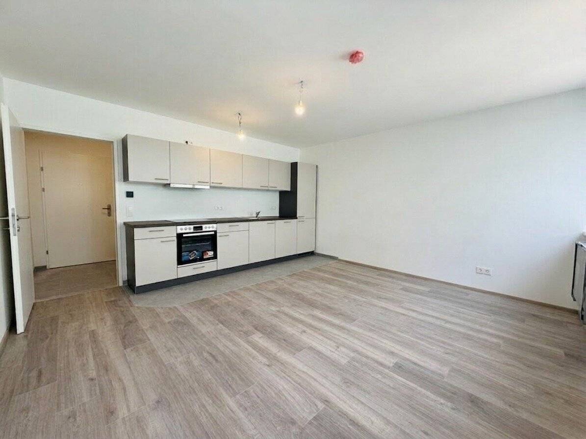 First-class 2-room apartment with cooling directly next to U4 U6 Längenfeldgasse