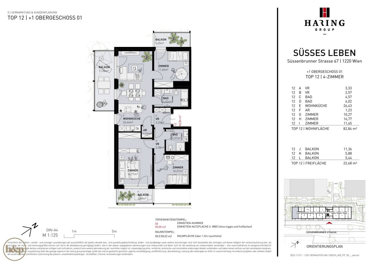 Grundriss 1