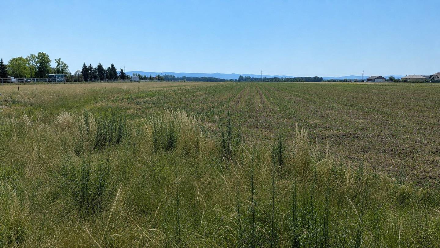 Baugrund in Bad Fischau-Brunn mit herrlichem Blick in die Ferne!