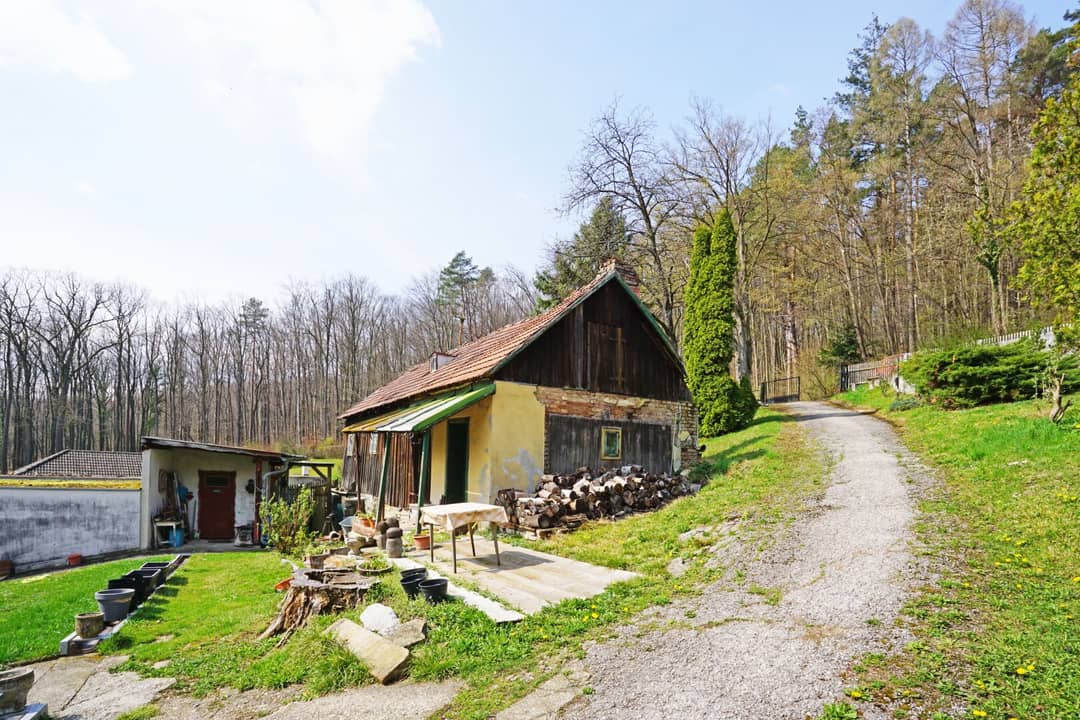 Immobilienbild 3