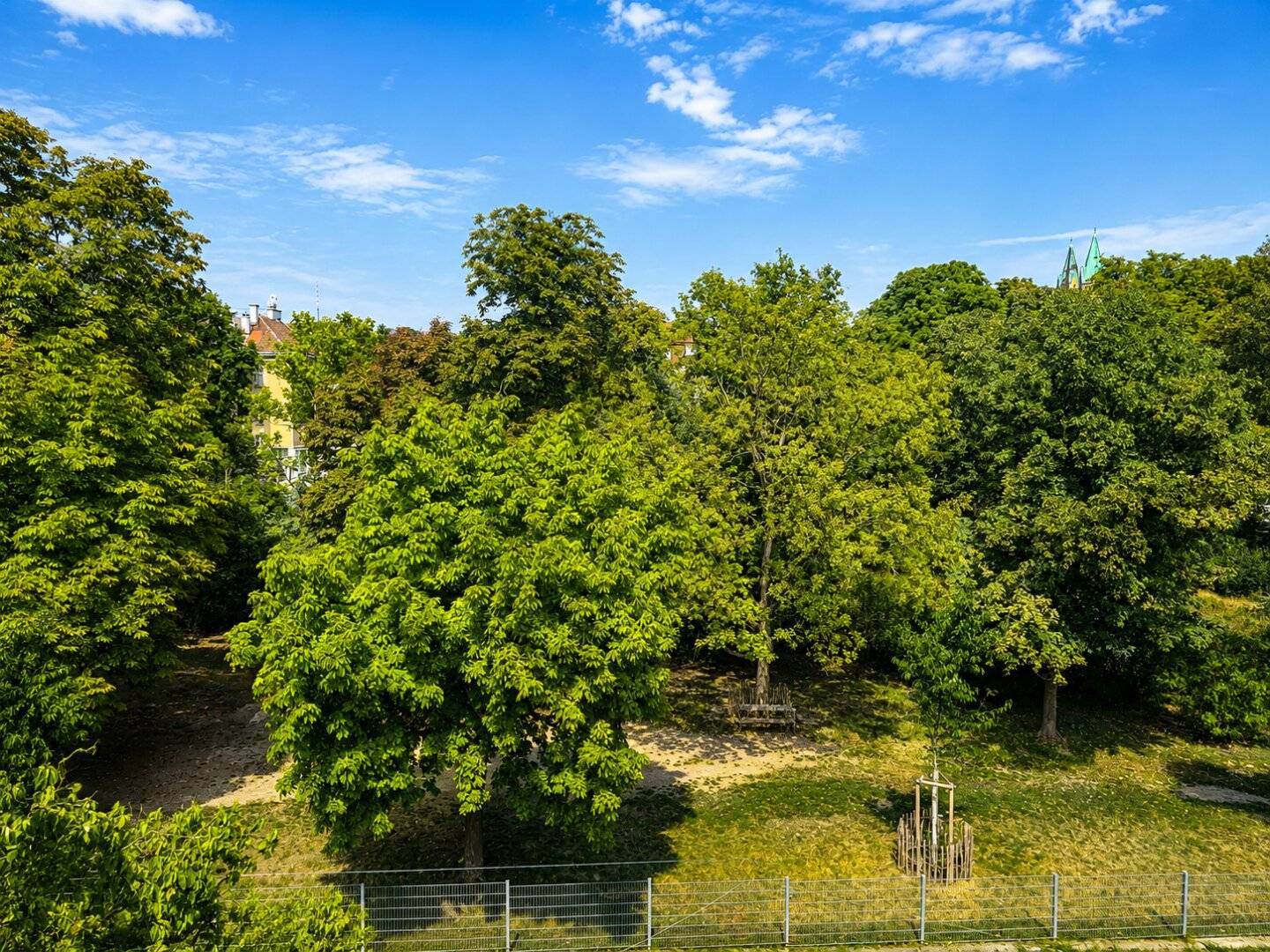 Ausblick in den Park