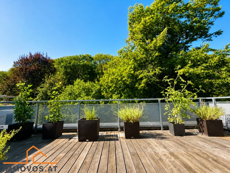 Air conditioned penthouse with expansive terraces and forest view