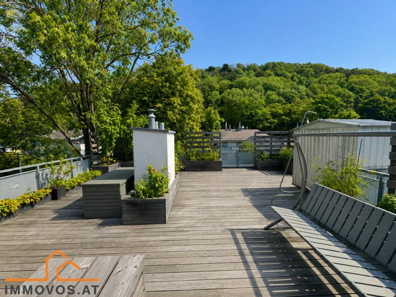 Air conditioned penthouse with expansive terraces and forest view