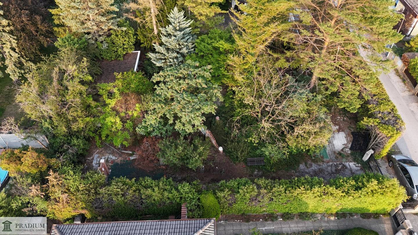 Ideal geschnittener Baugrund für Ihr Einfamilienhaus – Altbaumbestand – ruhig, grün, sofort verfügbar