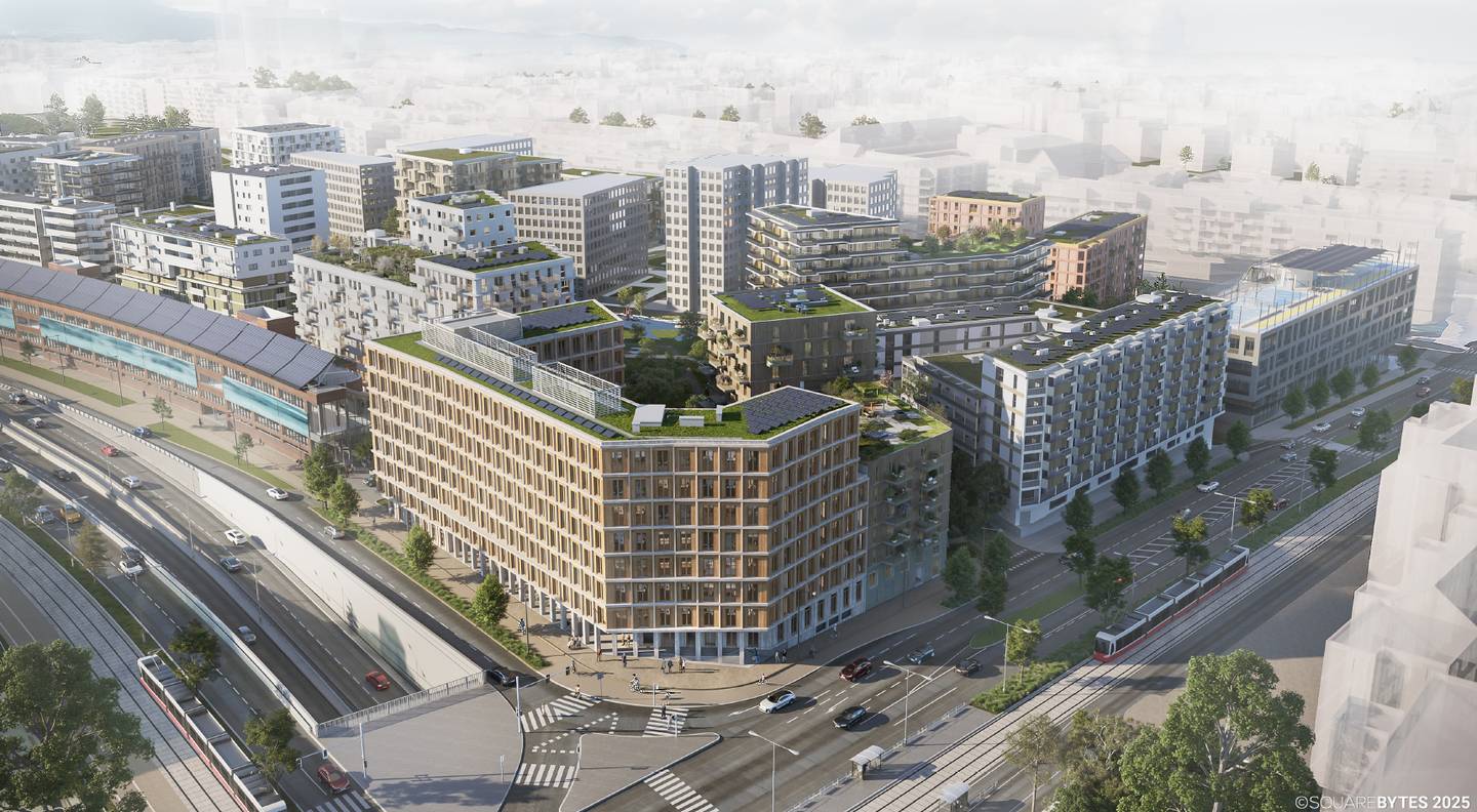Loftwohnung mit sichtbarer Holzstruktur und flexiblem Grundriss