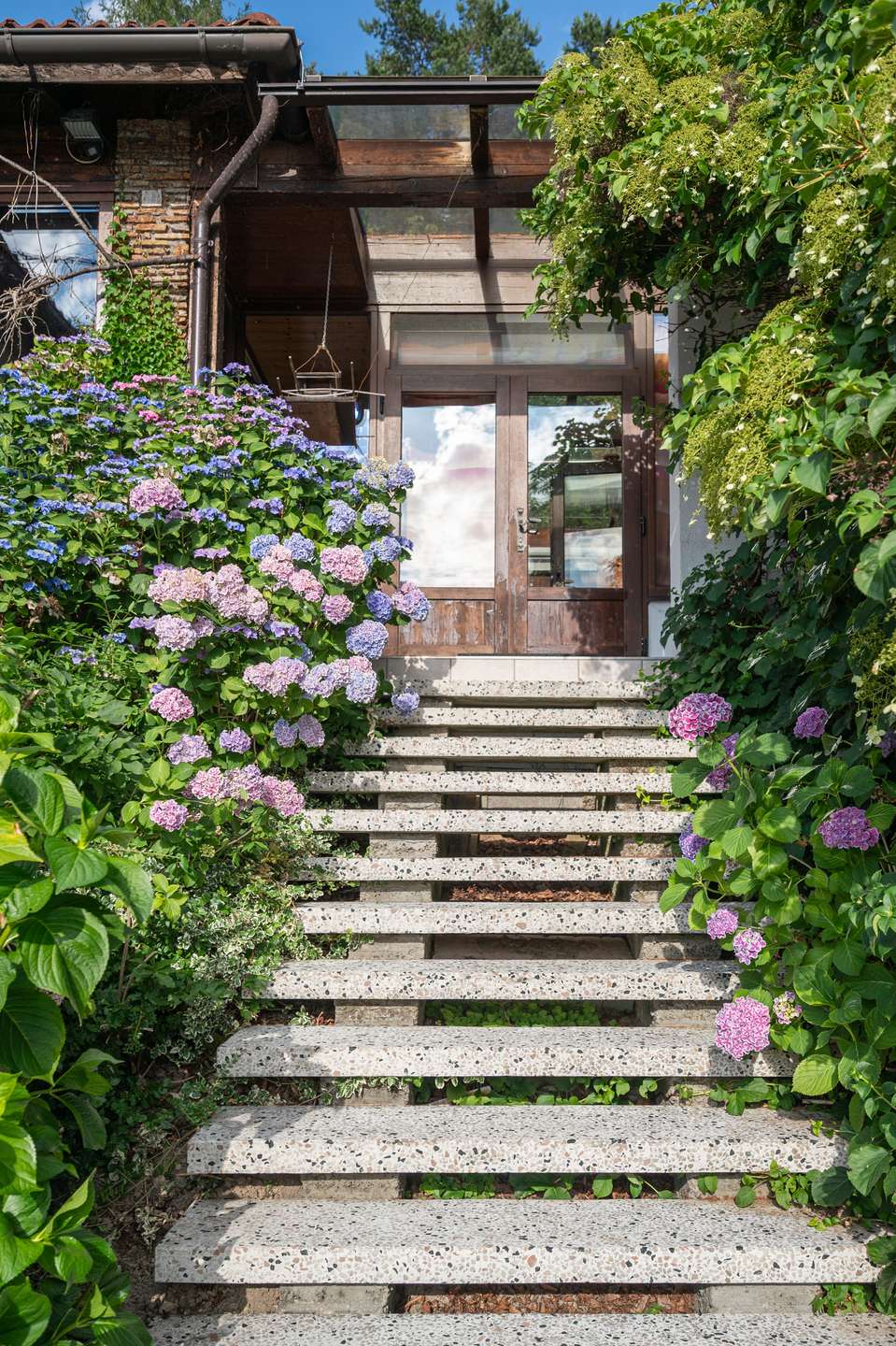Bergpanorama Refugium mit privatem Wald Ferienwohnung