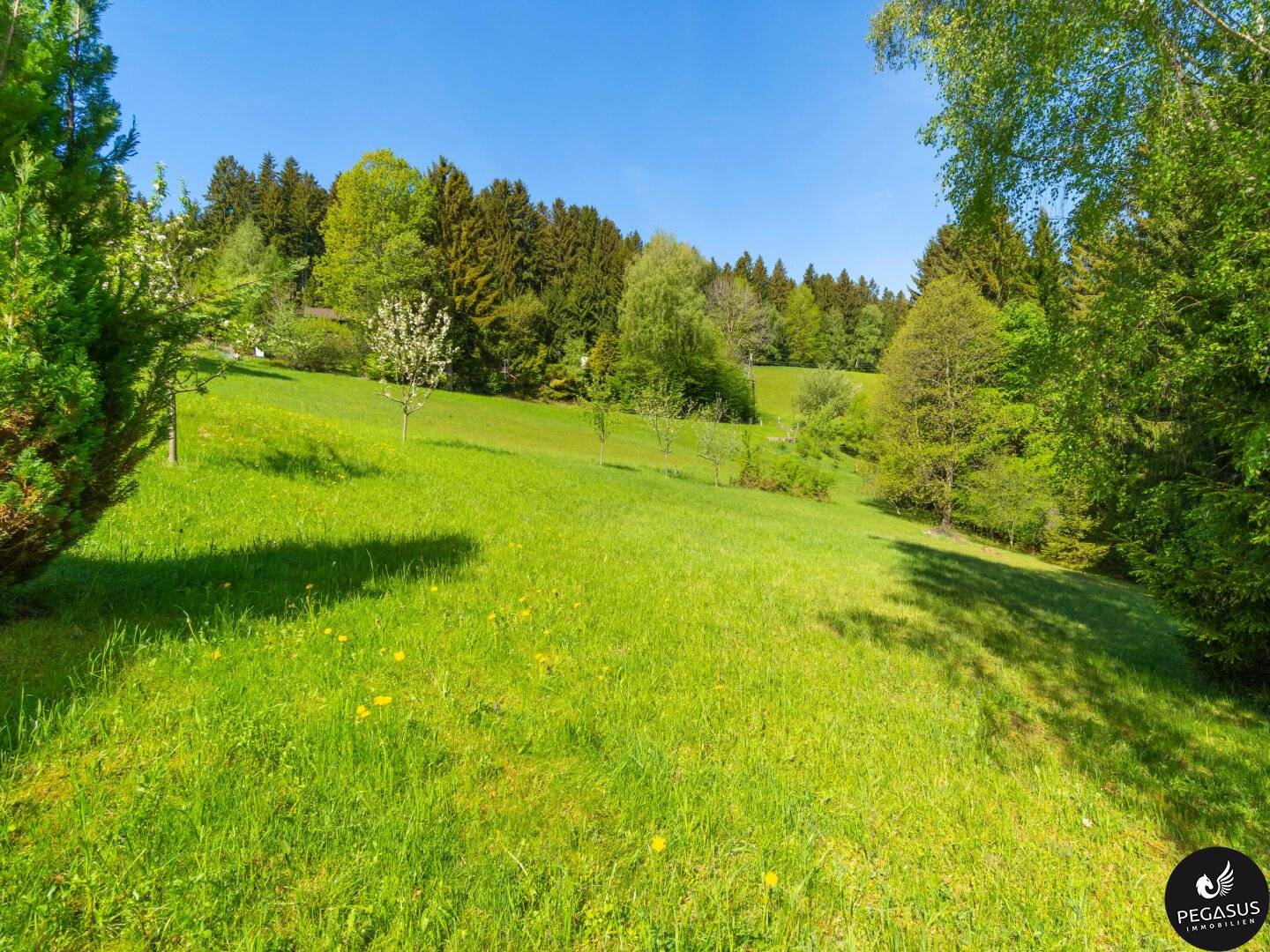 Ruhe, Natur und ganz viel Platz für Familienträume - Semriach
