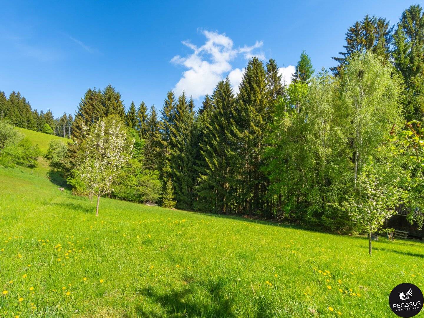 Ruhe, Natur und ganz viel Platz für Familienträume - Semriach
