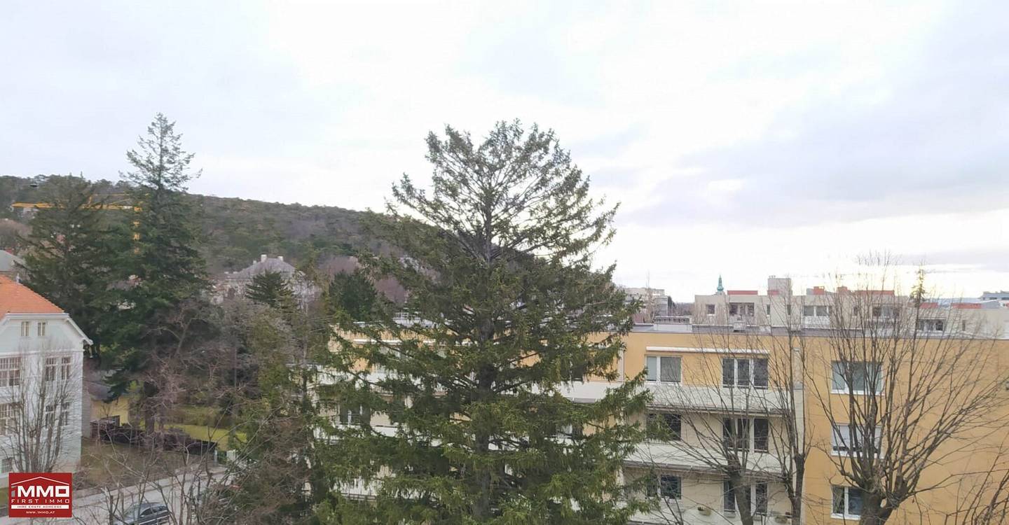 Attic apartment with terrace in central location in Baden