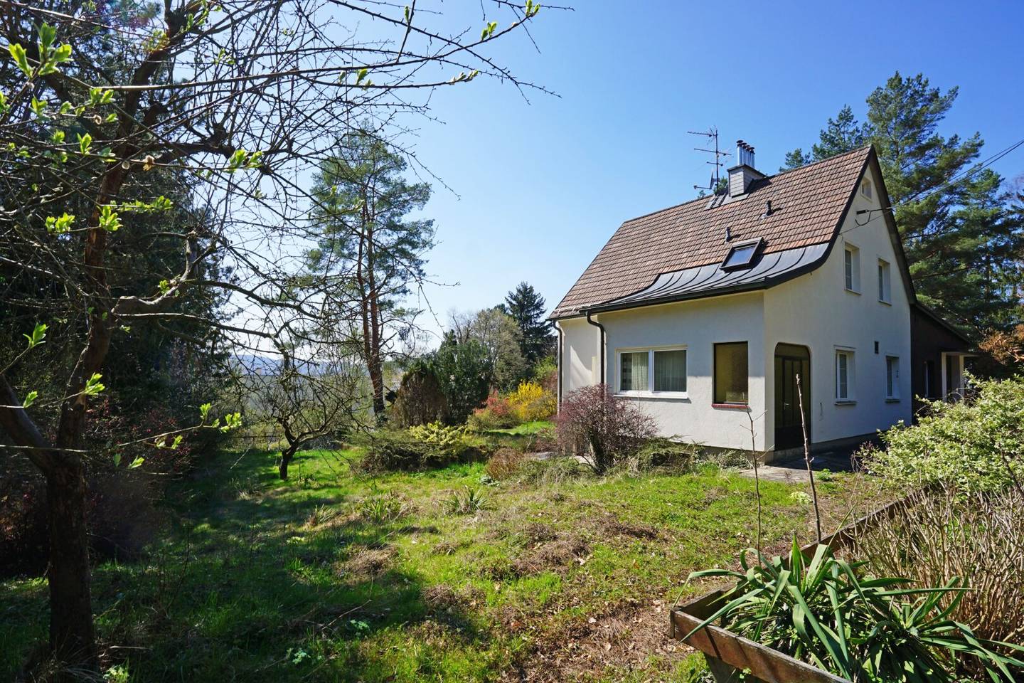 Plot from subdivision in a forest edge quiet location between Wolfersberg and Kolbeterberg