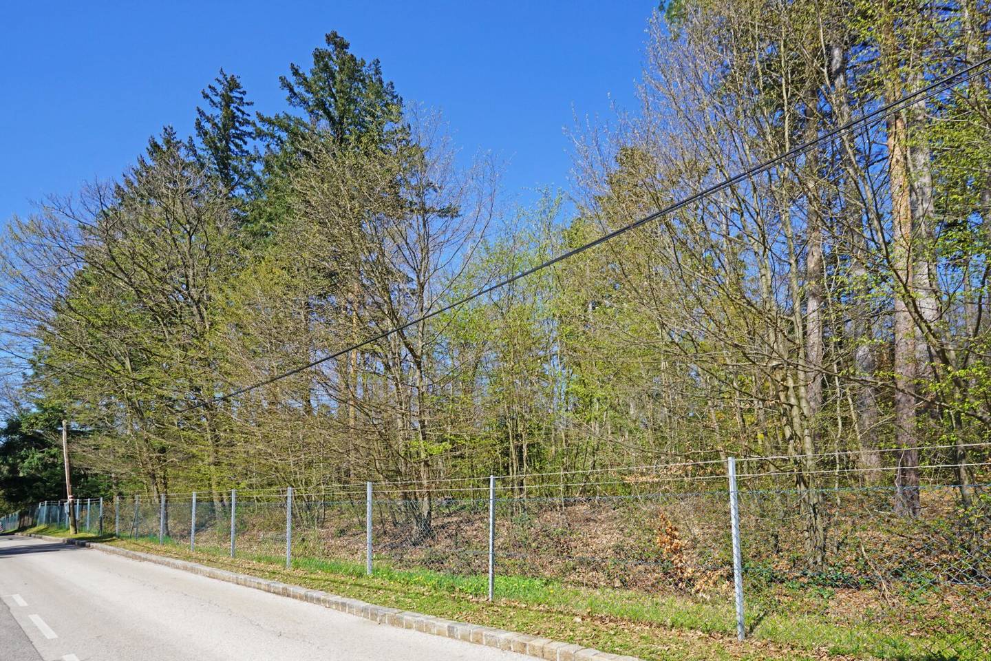 Grundstück in Wien Waldrandruhelage, 1.514 m² Baugrund Eigenheim