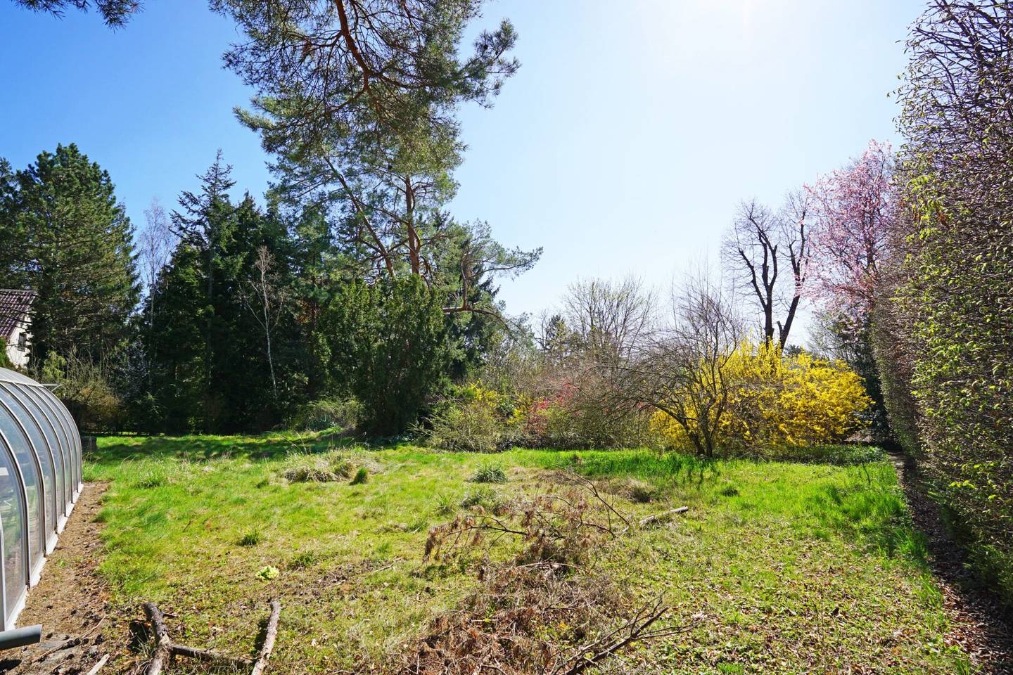 Grundstück in Wien Waldrandruhelage, 1.514 m² Baugrund Eigenheim