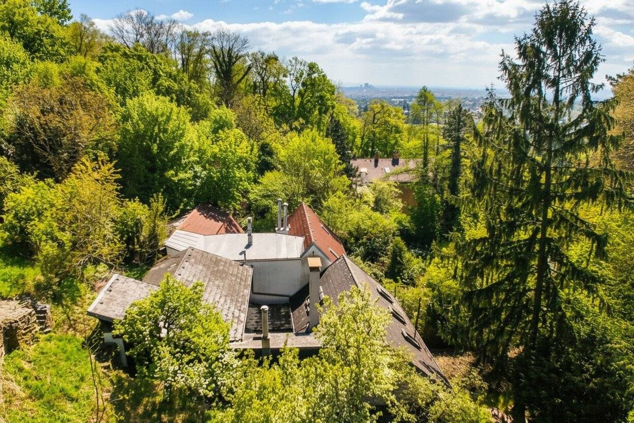 Former wine grower's house in a unique Sievering location awaits revitalization","de":"Ehemaliges Weinhauerhaus in einzigartiger Sieveringer Lage wartet auf Revitalisierung!"},