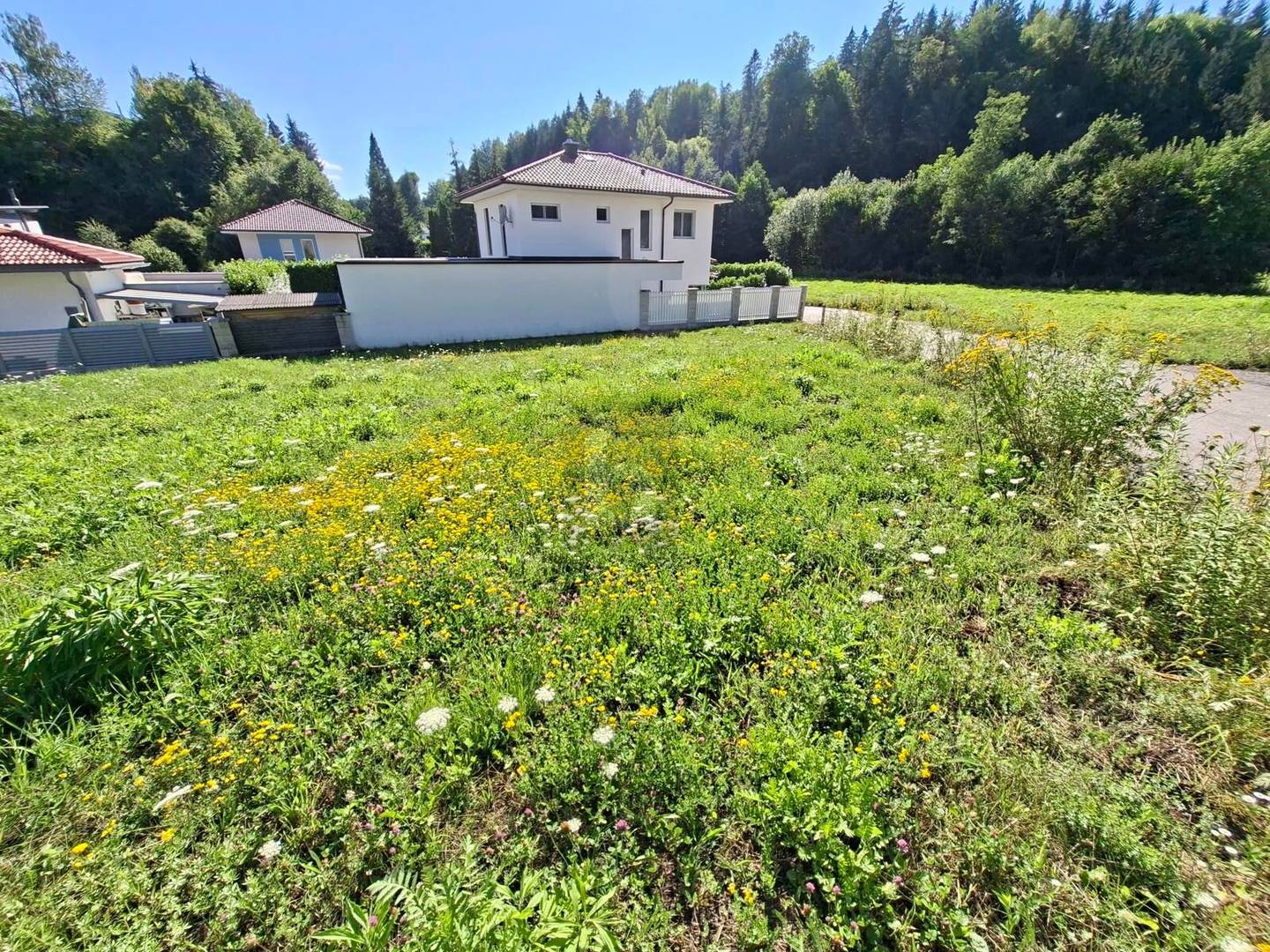 Ruhige Lage nahe Golfplatz und Reitstall Wohnung