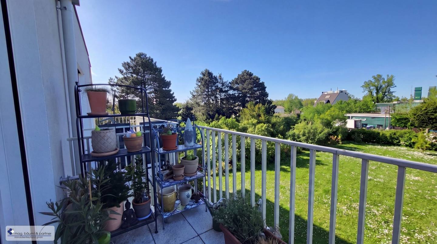 Wohnung  bei der alten Donau - mit Blick in den Garten