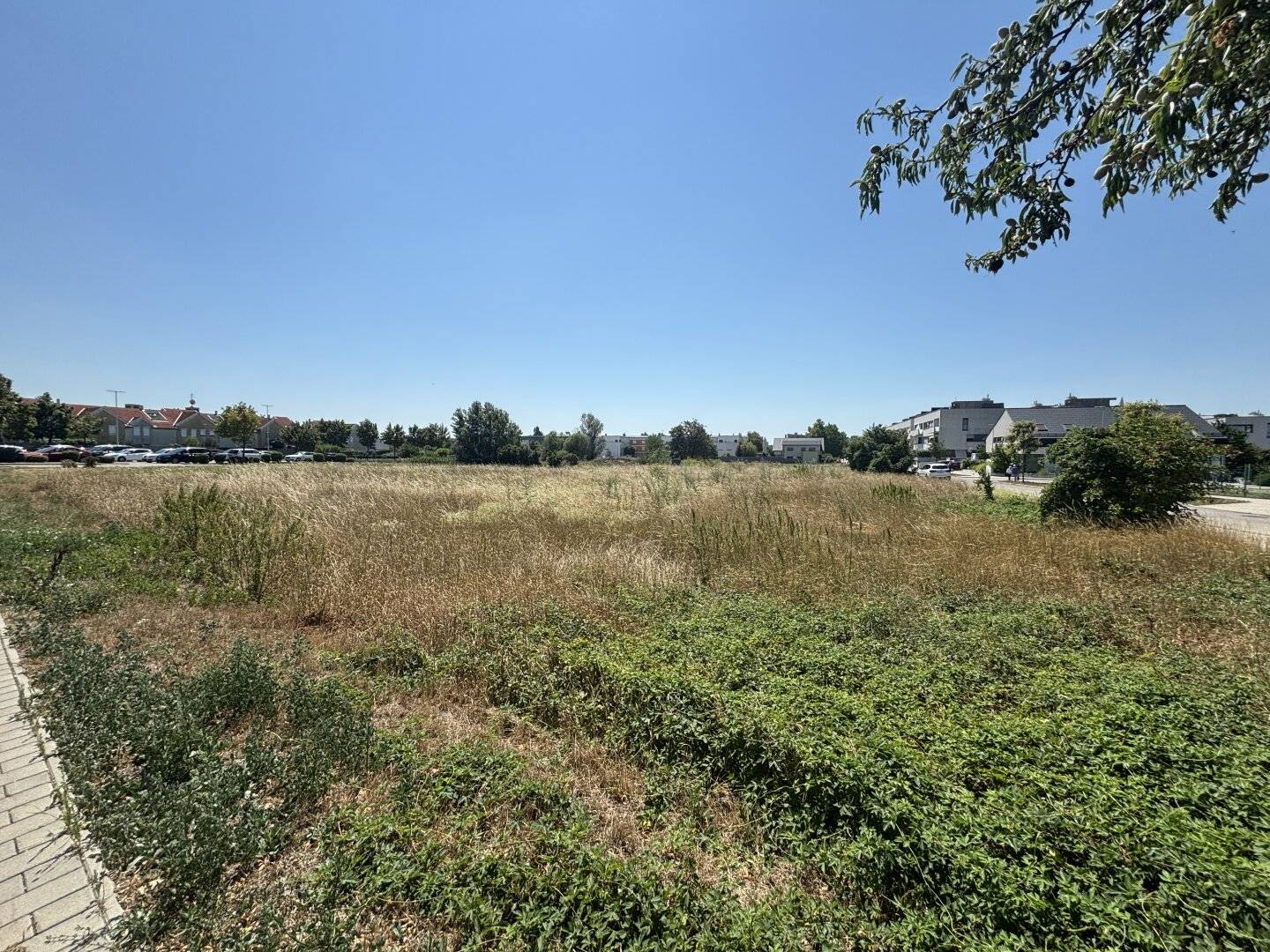 Baugrundstück in Neusiedl am See – ca. 663 m² - ruhig & zentral