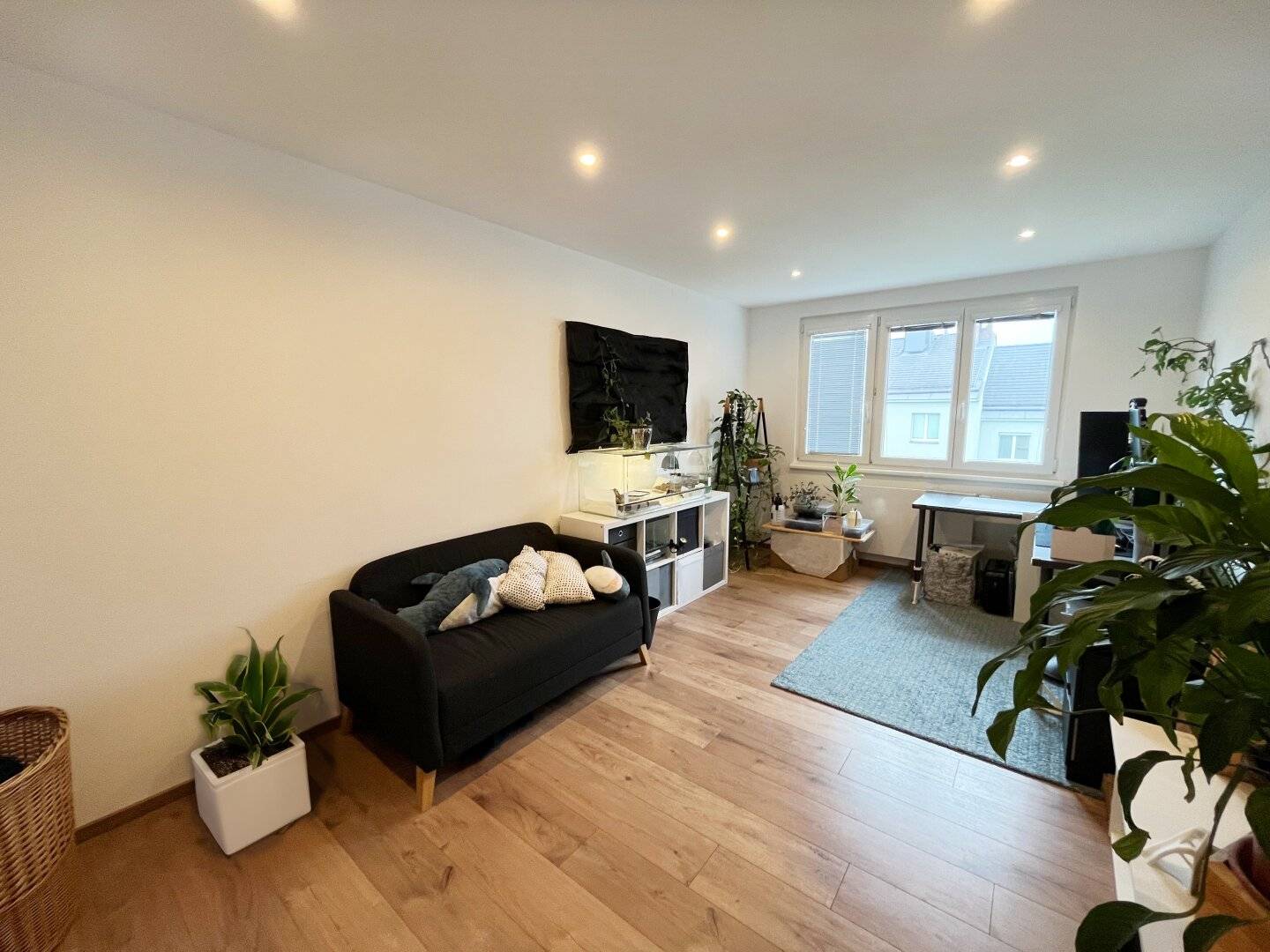 Investment property quiet apartment cul de sac