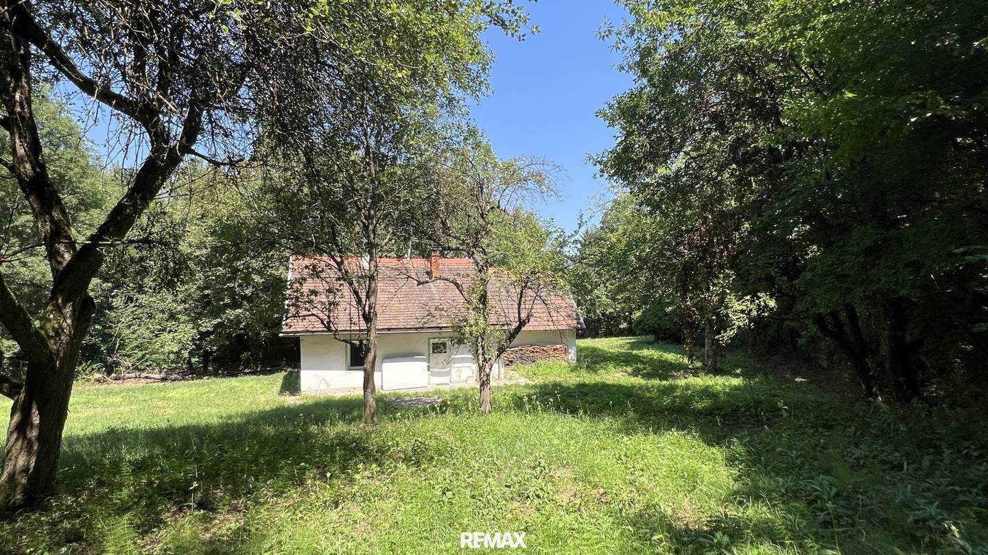 NATUR PUR - Wohnhaus in außergewöhnlicher Lage und großem Grundstück!