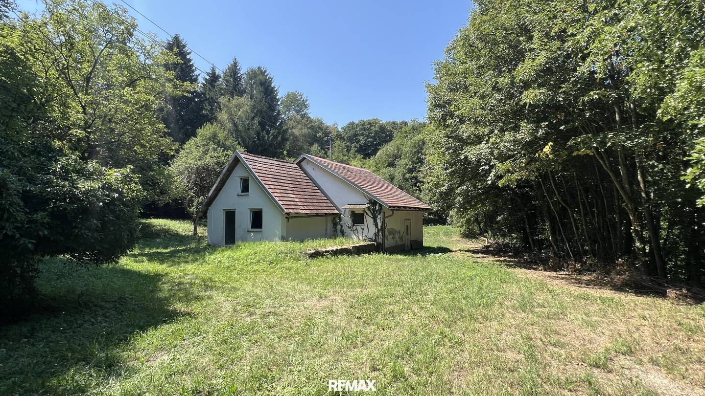 NATUR PUR - Wohnhaus in außergewöhnlicher Lage und großem Grundstück!