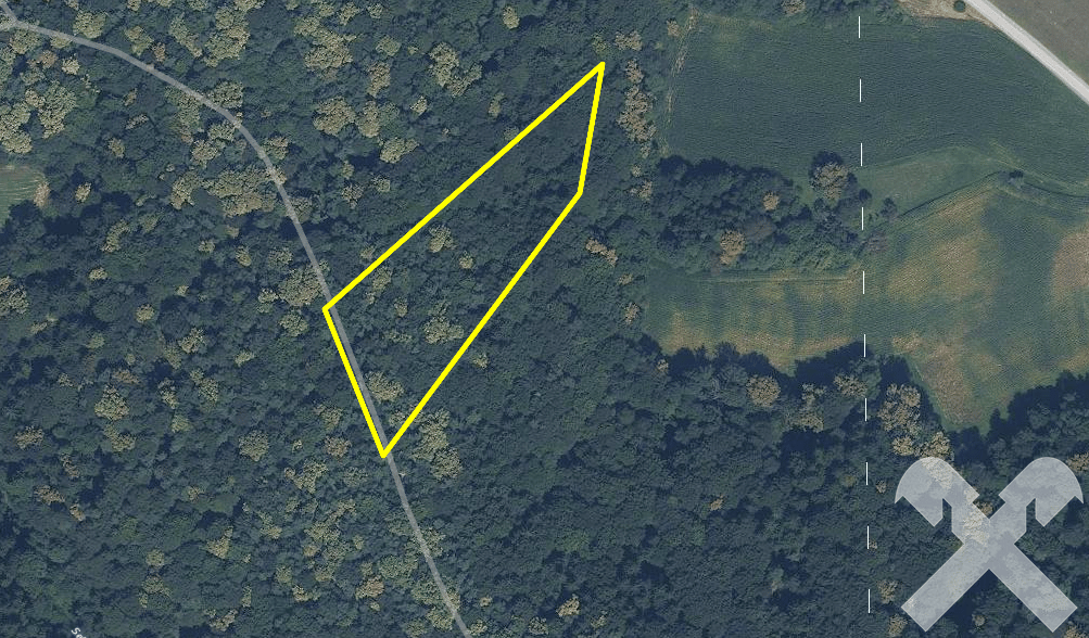 Naturnahe Forstfläche als Anlage Anlegerwohnung