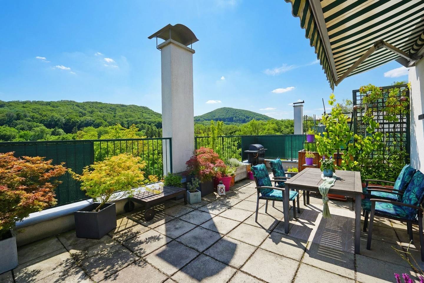 Apartment with a large roof terrace and green view