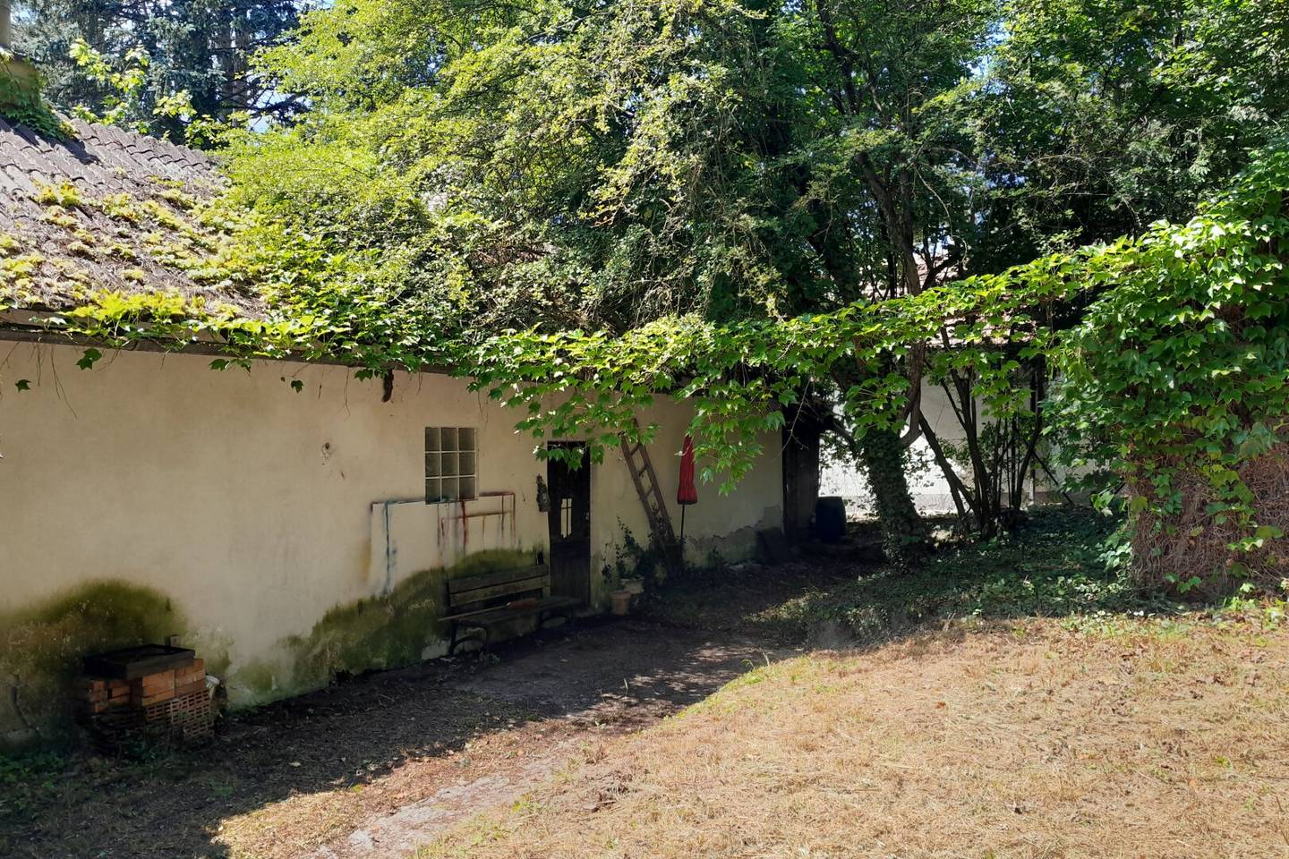 Großzügiges Baugrundstück mit Abbruchhaus und Grünlandanteil Nähe Purkersdorf