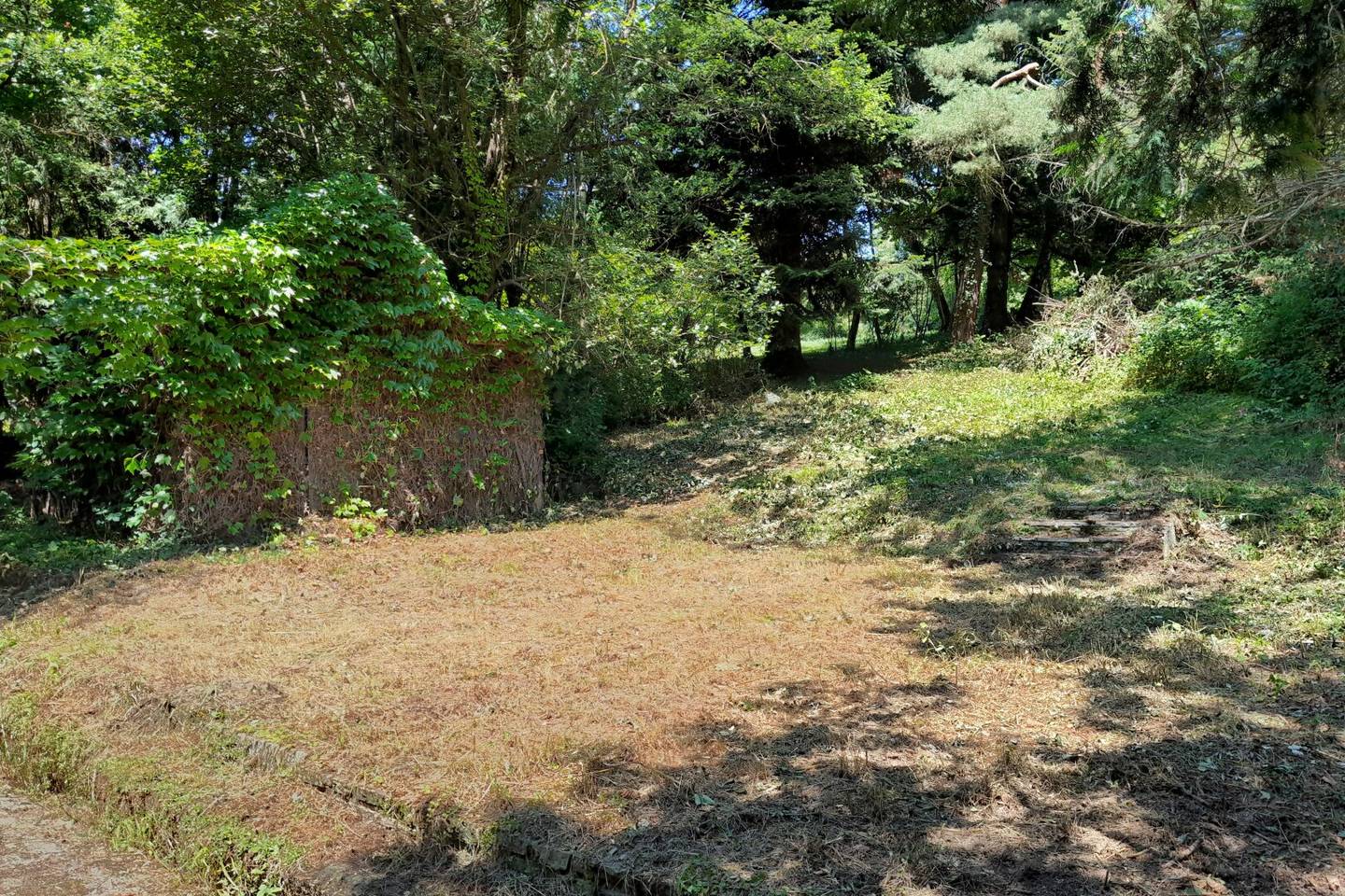 Großzügiges Baugrundstück mit Abbruchhaus und Grünlandanteil Nähe Purkersdorf