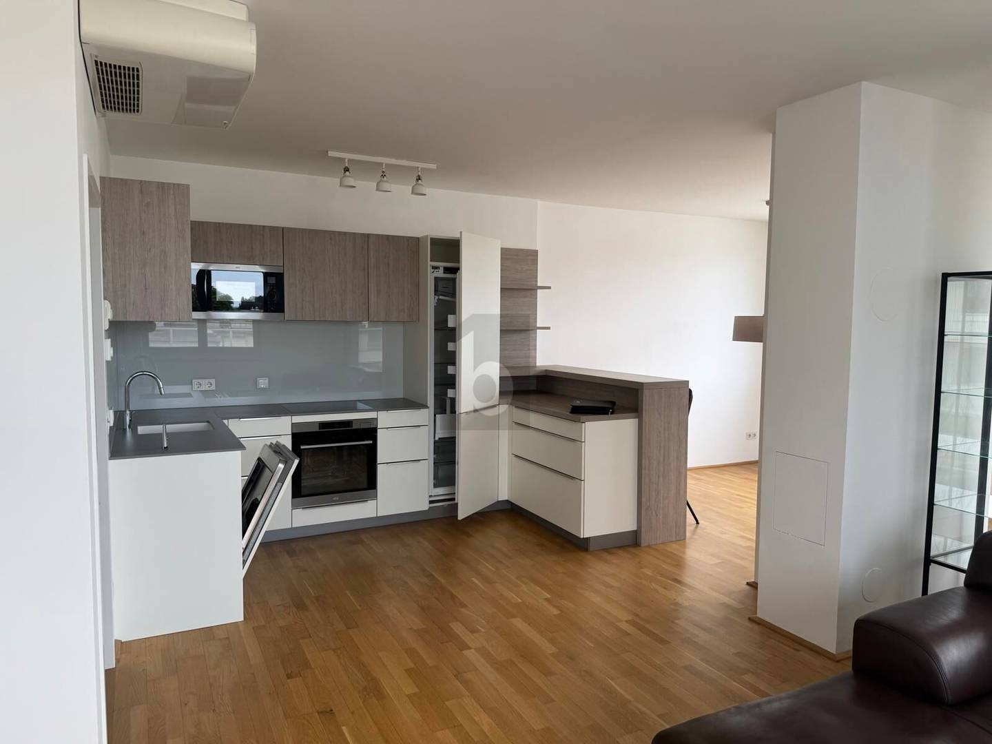 Penthouse with large roof terrace and Danube view
