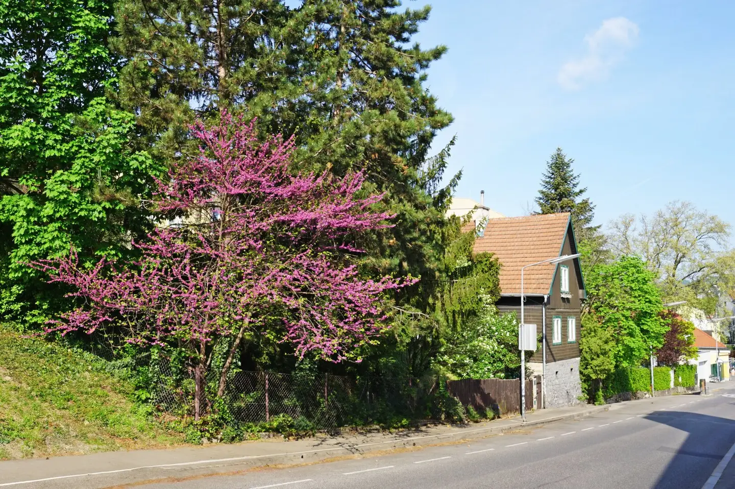 Building plot with existing building in Hietzing near St. Josef Krankenhaus