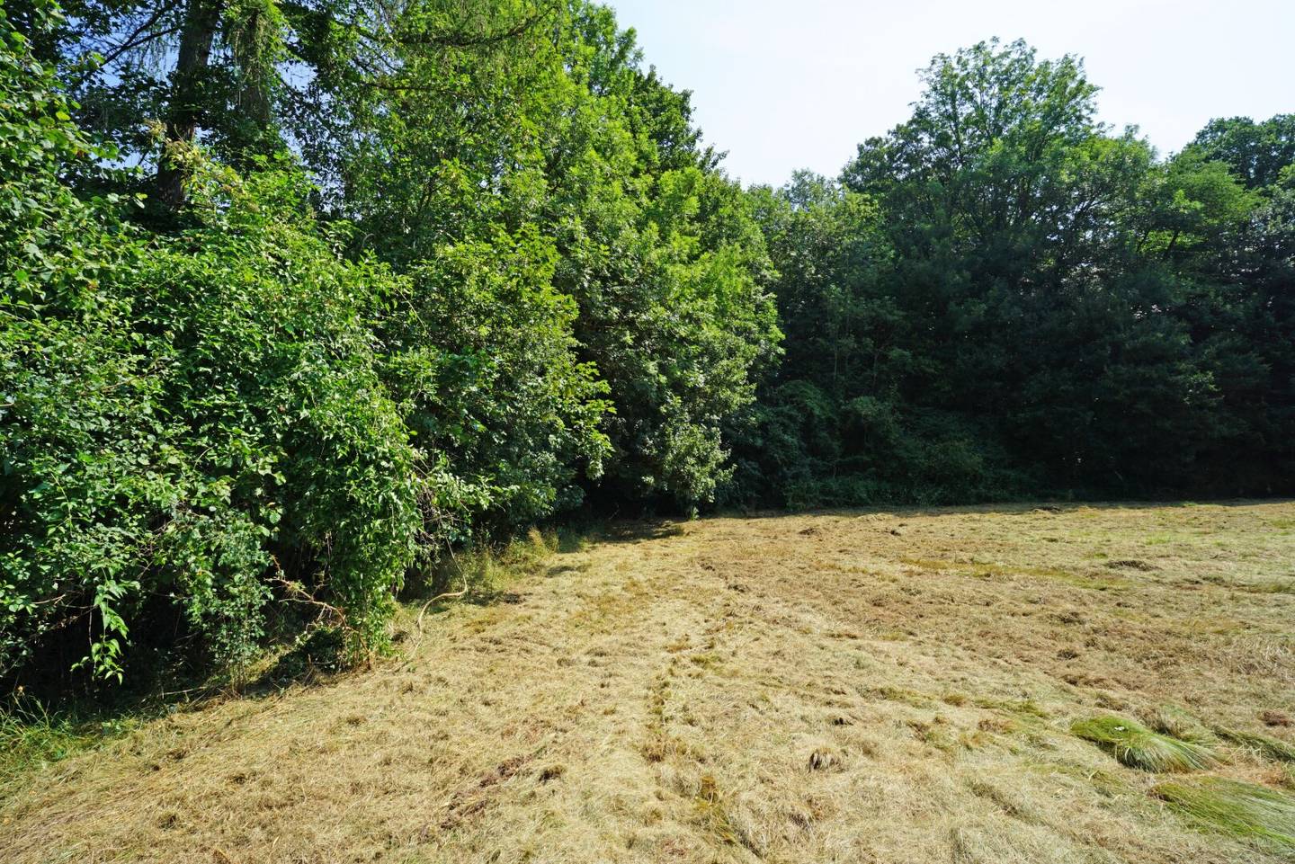 Ebenes Baugrundstück in sonniger Ruhelage nur 2 km vom Pressbaumer Zentrum
