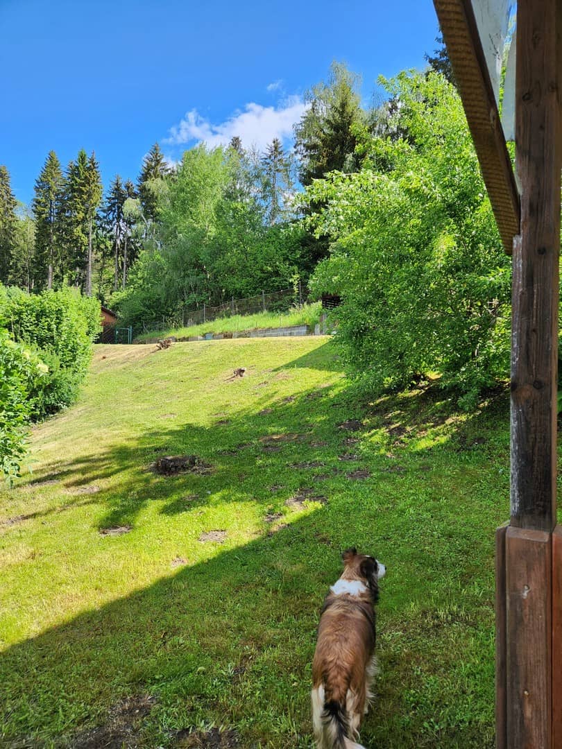 Familienwohnung mit großem Garten und schöner Aussicht