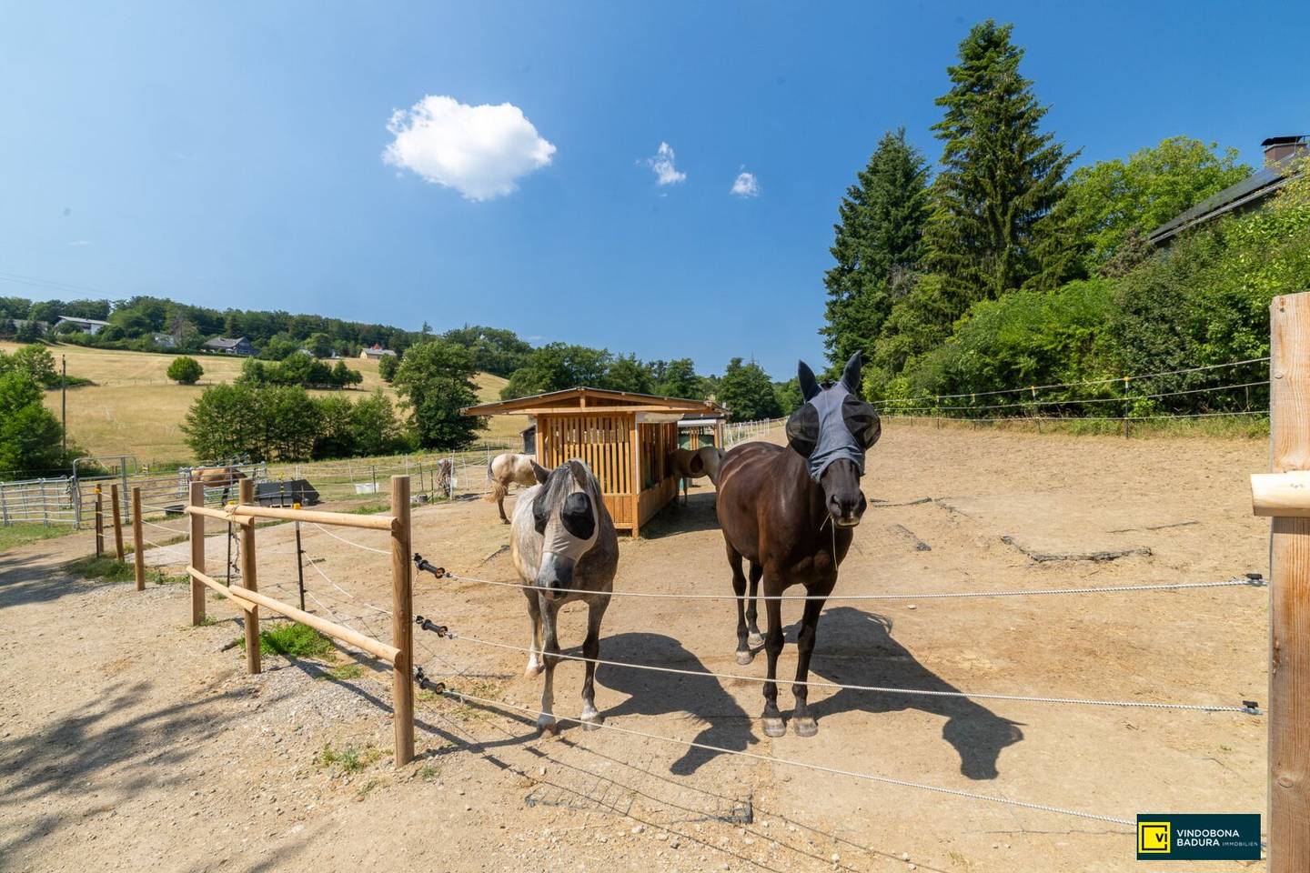 Pferdeparadies vor den Toren Wiens – Neu errichtete Reitanlage mit modernster Ausstattung