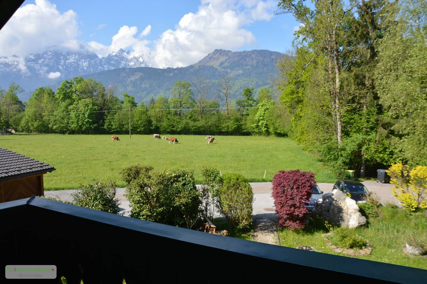 Do you like it elegant? charming sun balcony floor in Bad Vigaun