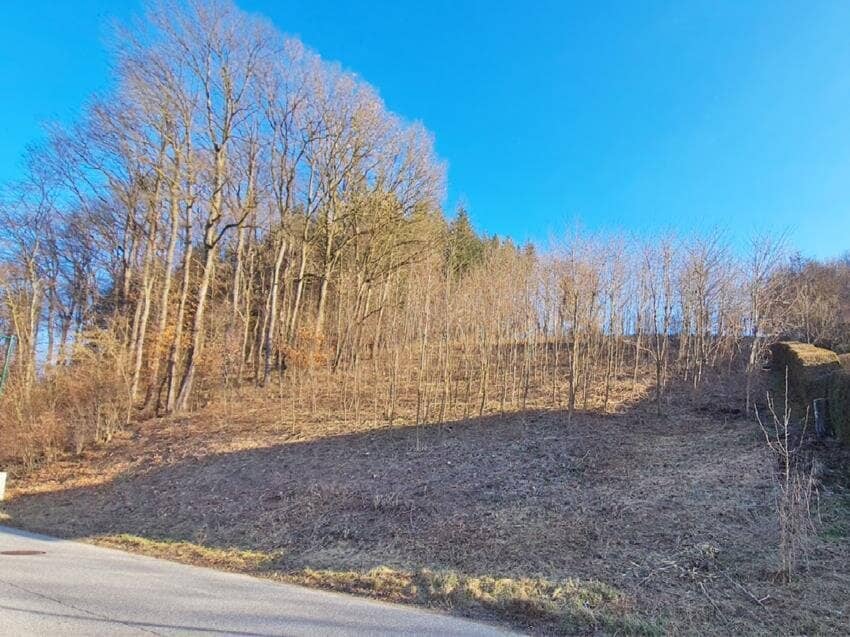 Sonniges Baugrundstück auf Südwest-Lage im Irenental