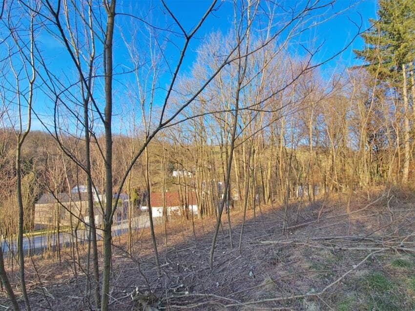 Sonniges Baugrundstück auf Südwest-Lage im Irenental