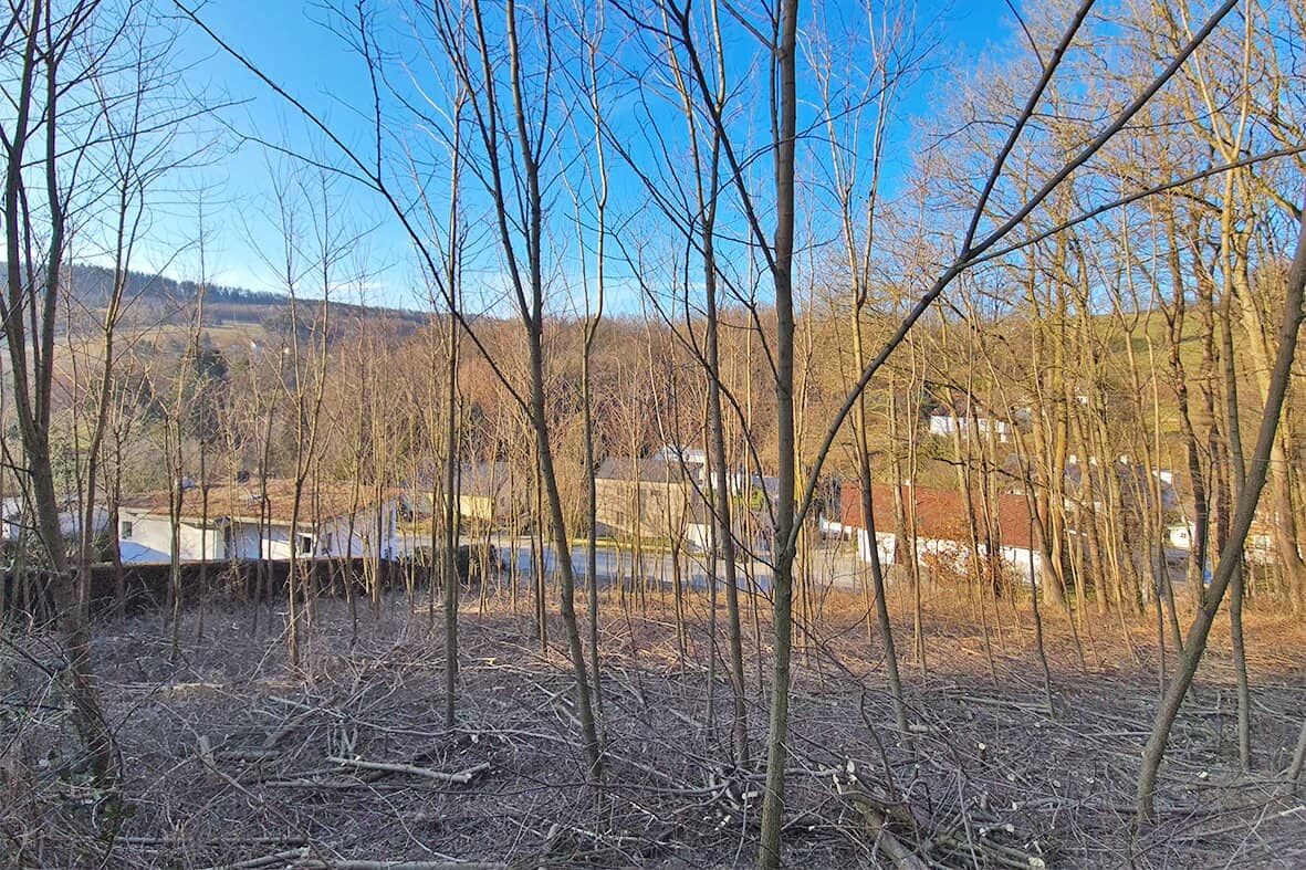 Sonniges Baugrundstück auf Südwest-Lage im Irenental