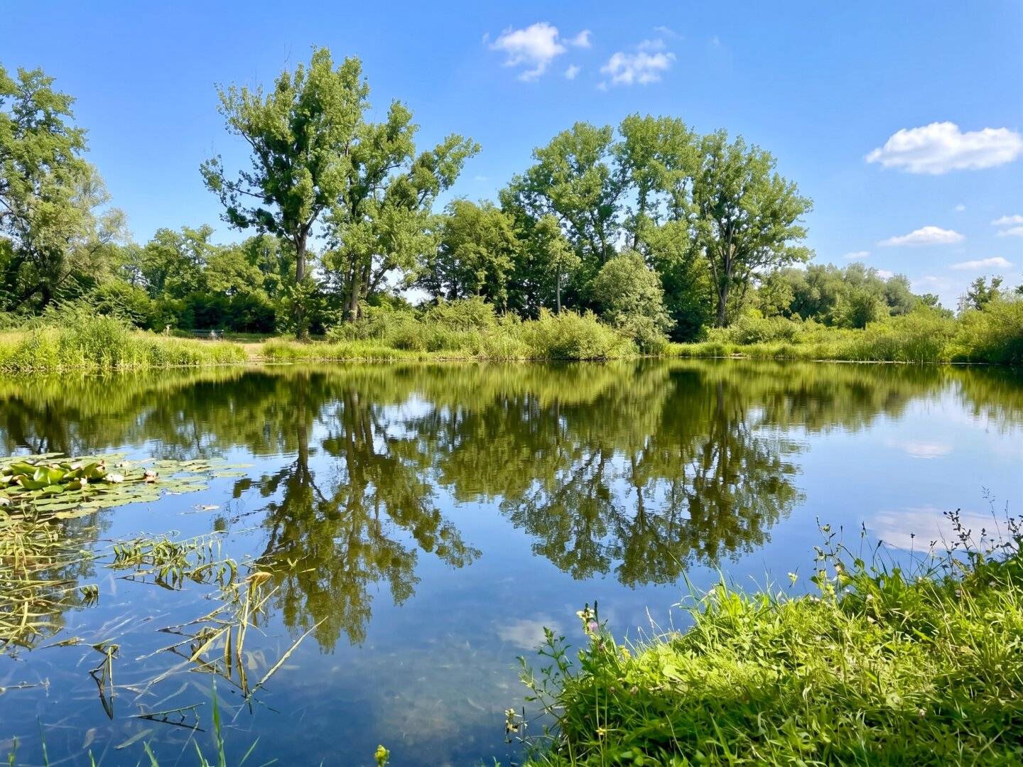 6 Reihenhäuser-Grundstück nahe Lobau und Mühlwasser