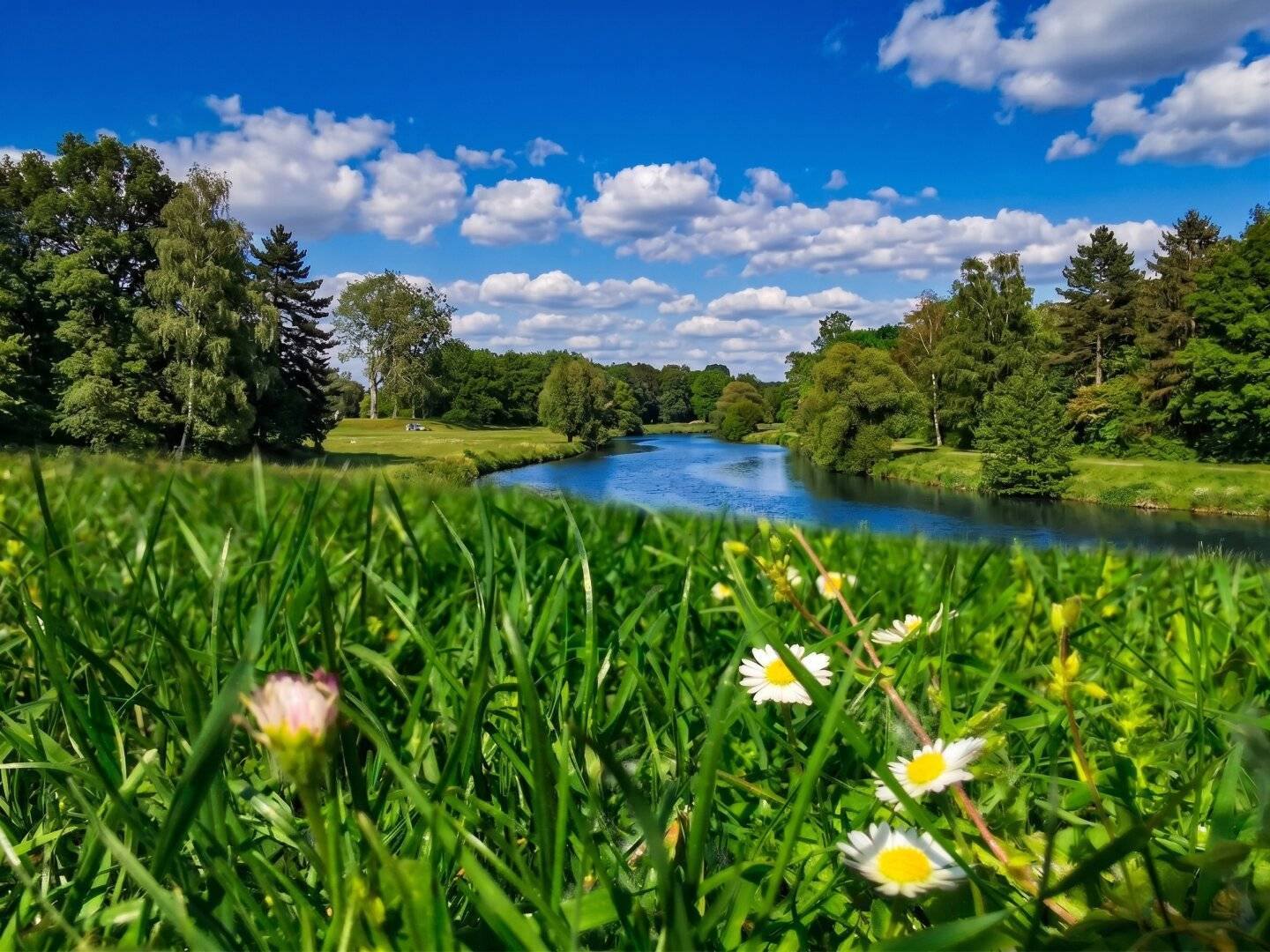 6 Reihenhäuser-Grundstück nahe Lobau und Mühlwasser