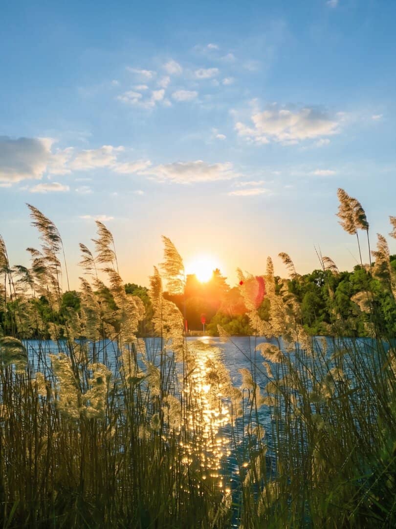 6 Reihenhäuser-Grundstück nahe Lobau und Mühlwasser