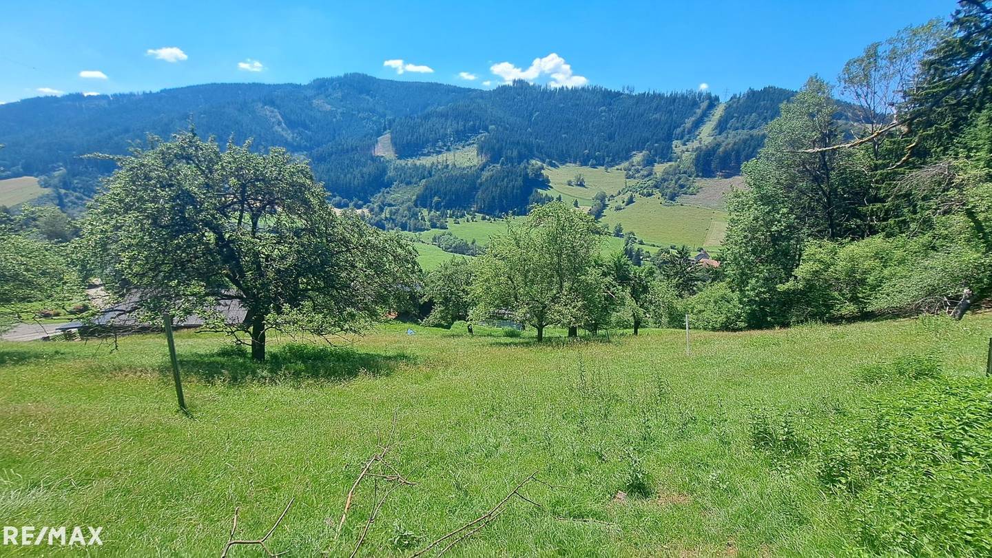 Sonnig ausgerichtete Wohnung mit Panoramablick