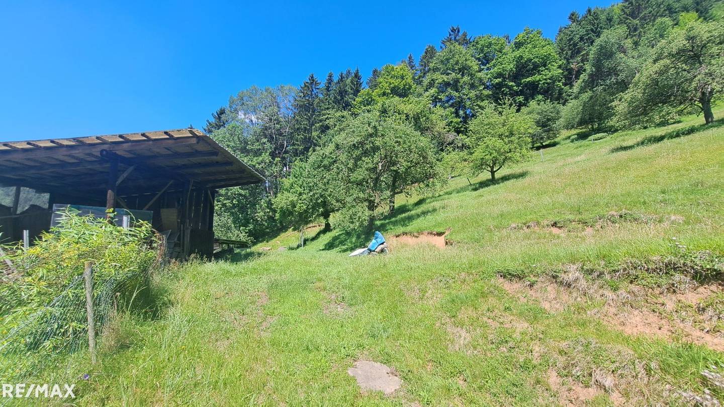 Sonniges Hanggrundstück mit Weitblick Wohnung