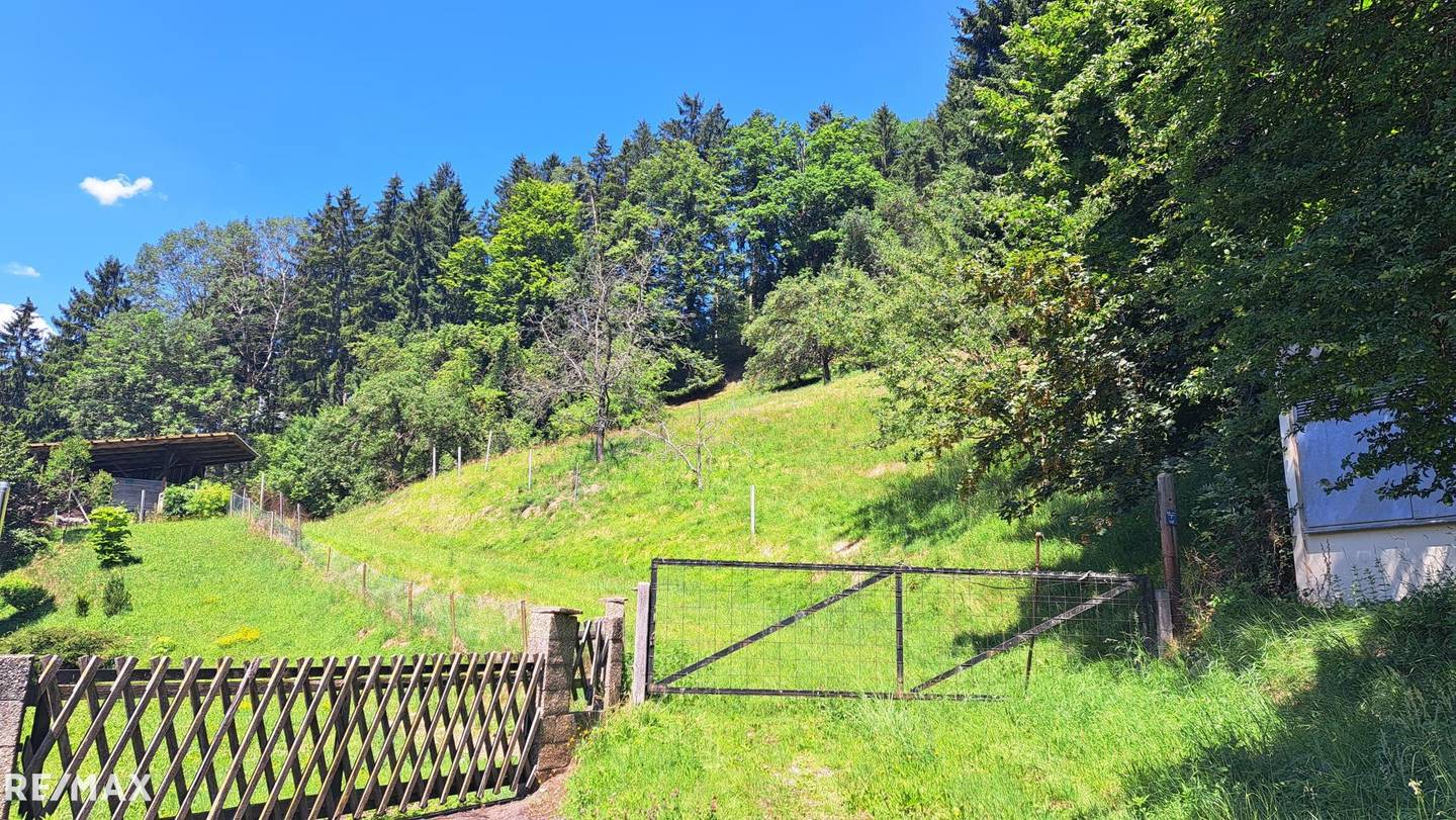 Sonniges Hanggrundstück mit Weitblick Wohnung