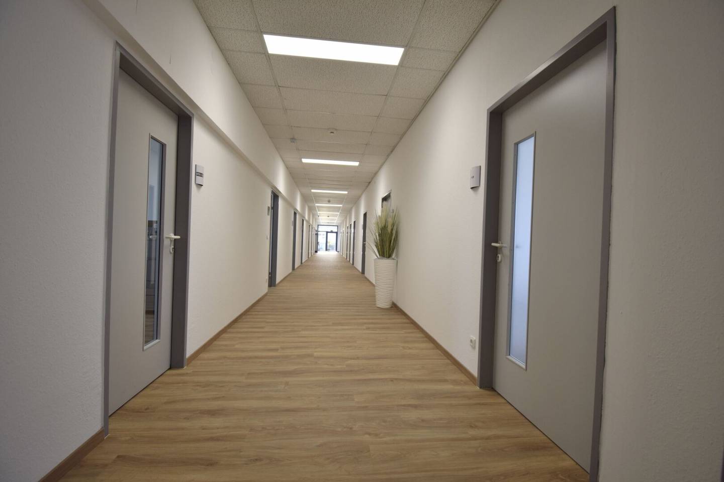 Modern office or practice space in Leonding available for rent immediately