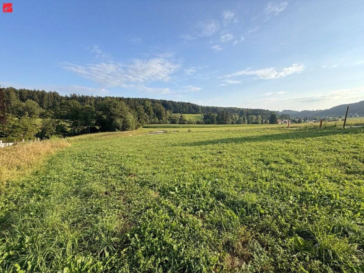Sonniger Baugrund in malerischer Landschaft!