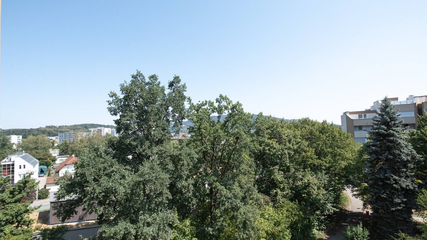 LINZ DORNACH. APARTMENT NEAR UNIVERSITY WITH GOOD INFRASTRUCTURE.