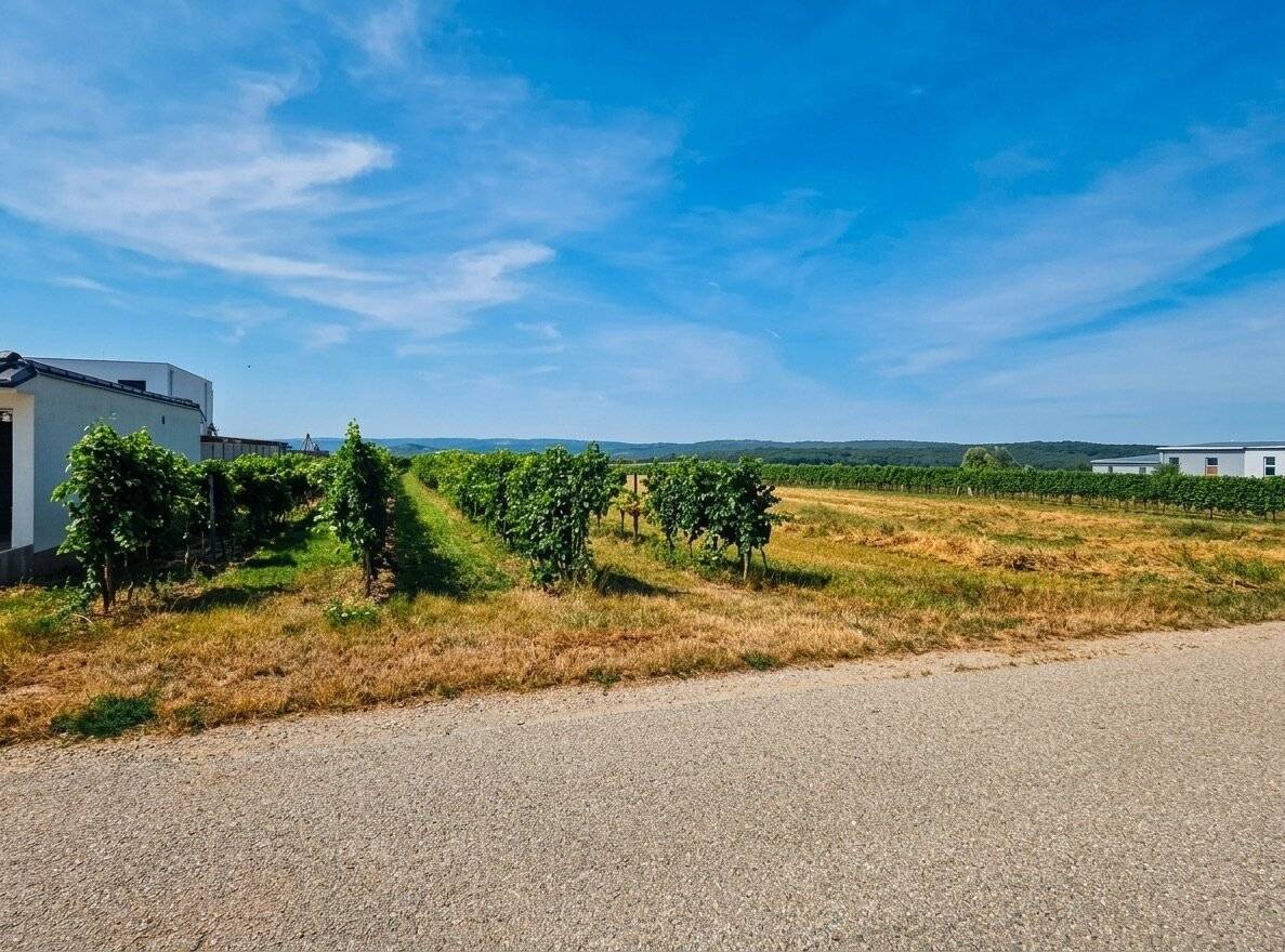 BAUGRUND MIT ZUKUNFT | ca. 782 m² Grundstück | Neusiedl am See | Top Infrastruktur | Gute Anbindung