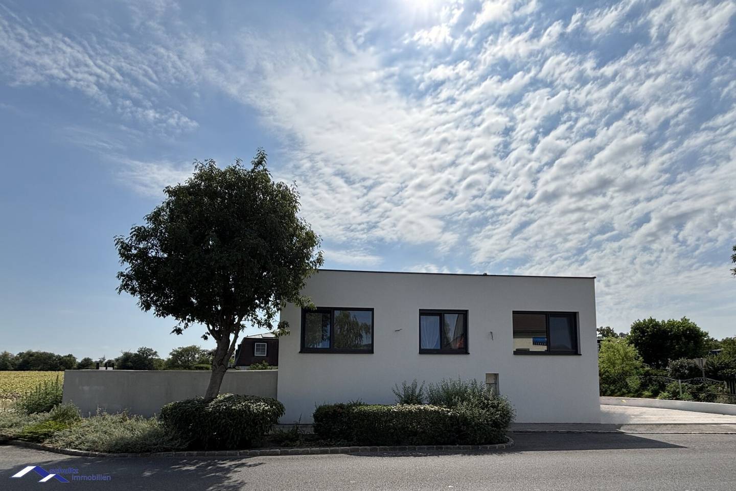 SCHULTZ IMMOBILIEN - Modern single-family house with pool and spacious living ambience in Guntramsdorf