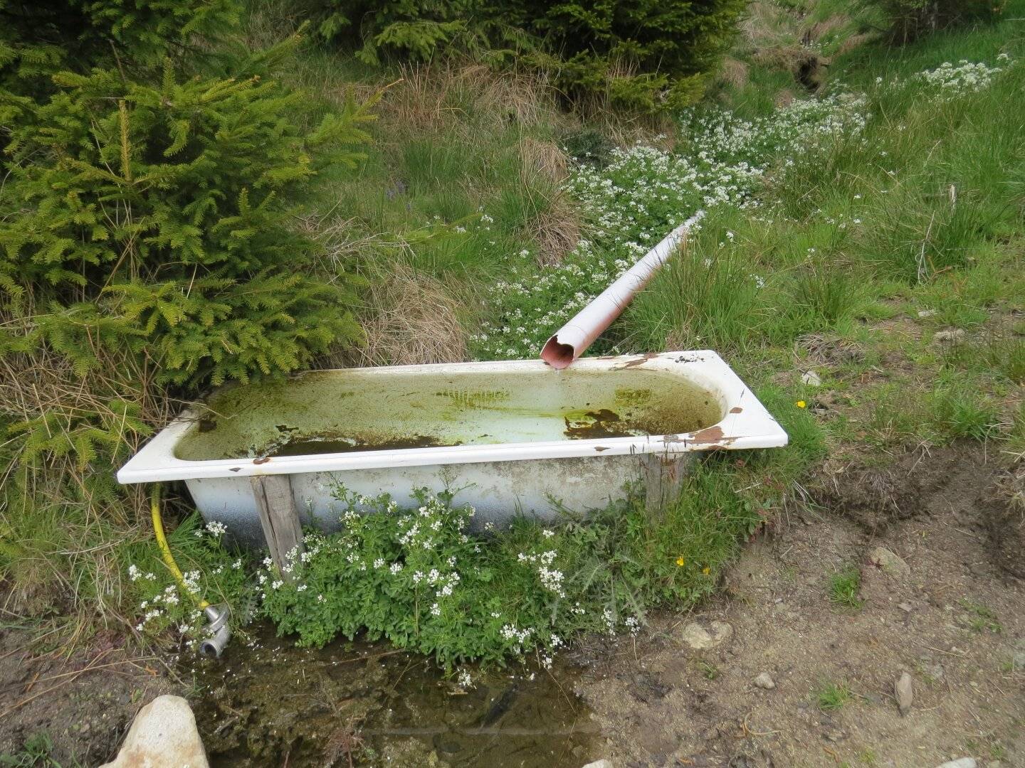 4,2 ha Wiesenfläche im Raum Knittelfeld